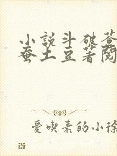 小说斗破苍穹天蚕土豆著阅读