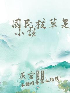国民校草是女生 小说