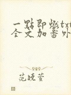 一点即燃txt全文加番外