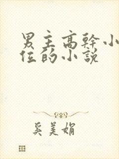 男主高干小三上位的小说