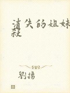 消失的姐妹剧本杀