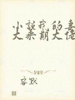 小说我的妻子是大乘期大佬在线阅读