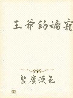 王爷的娇宠王妃