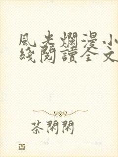 风光烂漫小说在线阅读全文无弹窗