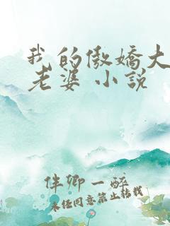 我的傲娇大小姐老婆 小说