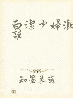 白洁少妇激情小说