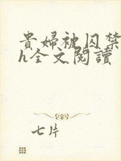 贵妇被囚禁调教h全文阅读