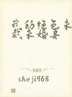 我的绝色未婚总裁未婚妻