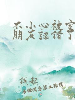 不小心被室友男朋友认错了宁笑阿温作者