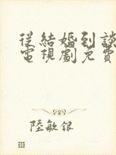 从结婚到谈恋爱电视剧免费观看