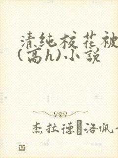 清纯校花被调教(高h)小说