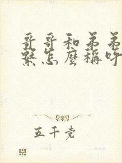 哥哥和弟弟的关系怎么称呼