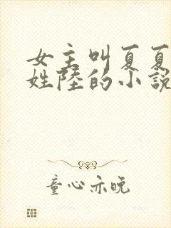 女主叫夏夏男主姓陆的小说