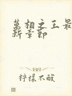 万相之王最新更新章节