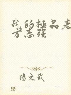 我的极品老婆,方志强