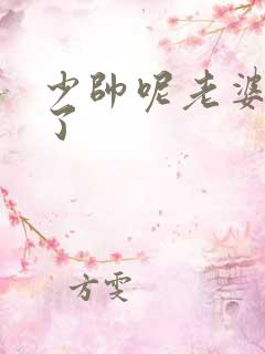 少帅呢老婆又跑了