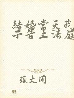 结婚当天我被妻子告上法庭短剧免费观看