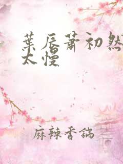 叶辰萧初然更新太慢