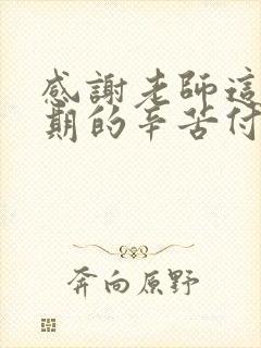 感谢老师这一学期的辛苦付出