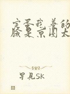 完蛋我养的小白脸是京圈太子爷短剧完整版