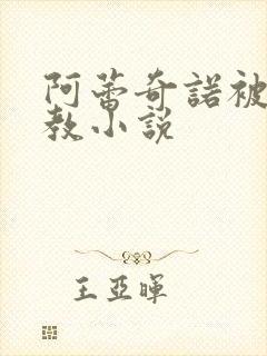 阿蕾奇诺被性调教小说