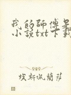 我的师傅是神仙小说txt下载