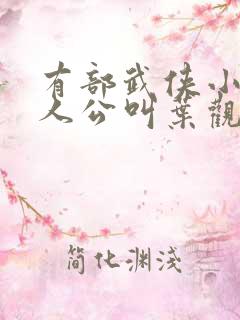 有部武侠小说主人公叫叶观的小说