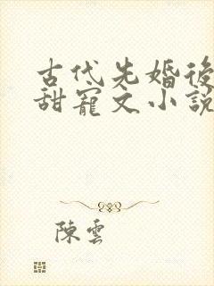 古代先婚后爱的甜宠文小说