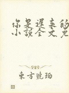 你是迟来的喜欢小说全文免费阅读