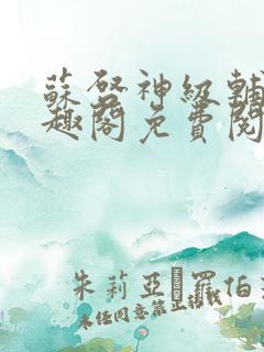 苏启神级辅助笔趣阁免费阅读无弹窗