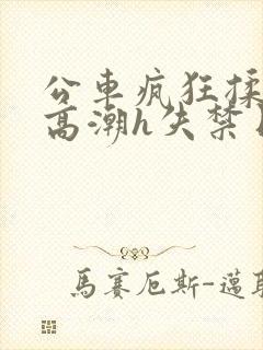 公车疯狂揉肉蒂高潮h失禁日本剧