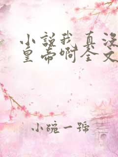 小说我真没想当皇帝啊全文阅读