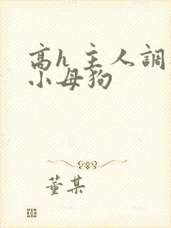 高h 主人调教小母狗