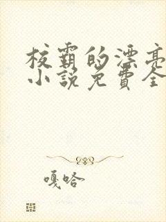 校霸的漂亮继父小说免费全文阅读