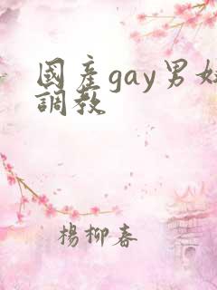 国产gay男奴调教