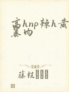 高hnp辣h黄暴肉