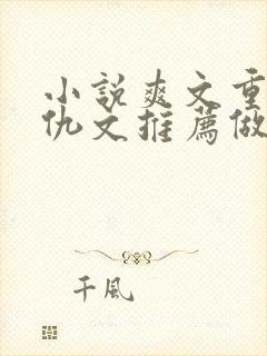 小说爽文重生复仇文推荐做女主