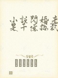 小说闪婚老公竟是千亿总裁全文