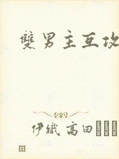 双男主互攻双性