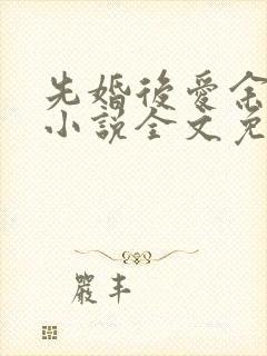 先婚后爱余慧慧小说全文免费阅读