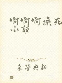 啊啊啊操死我了小说