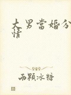 大男当婚分集剧情