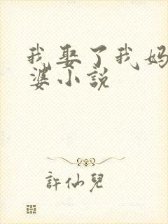 我娶了我妈当老婆小说