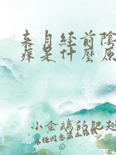 来月经前阴道口痒是什么原因