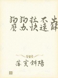 狗狗拉不出尿怎么办快速解决方法