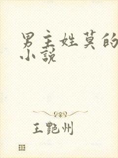 男主姓莫的总裁小说