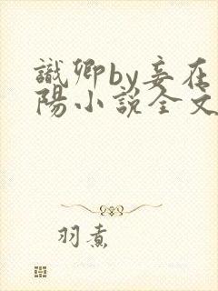 识卿by妾在山阳小说全文免费阅读