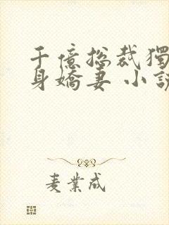 千亿总裁独宠替身娇妻 小说完整