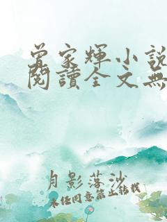 曾家辉小说免费阅读全文无弹窗