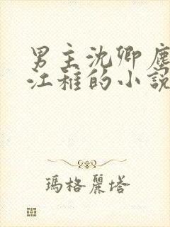 男主沈卿尘女主江稚的小说